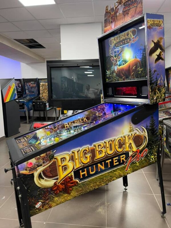 Big Buck Hunter Pro